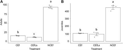 The Ecotoxicity Approach as a Tool for Assessing Vermiremediation Effectiveness in Polychlorobiphenyls, Polychlorodibenzo-p-Dioxins and Furans Contaminated Soils